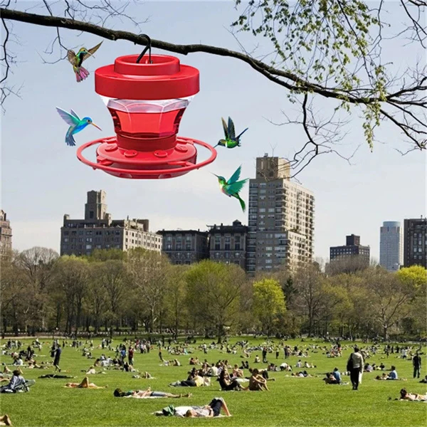Hanging Hummingbird Feeder with Bee-Proof Design and Ant Guard – 16 Ounce Capacity 3