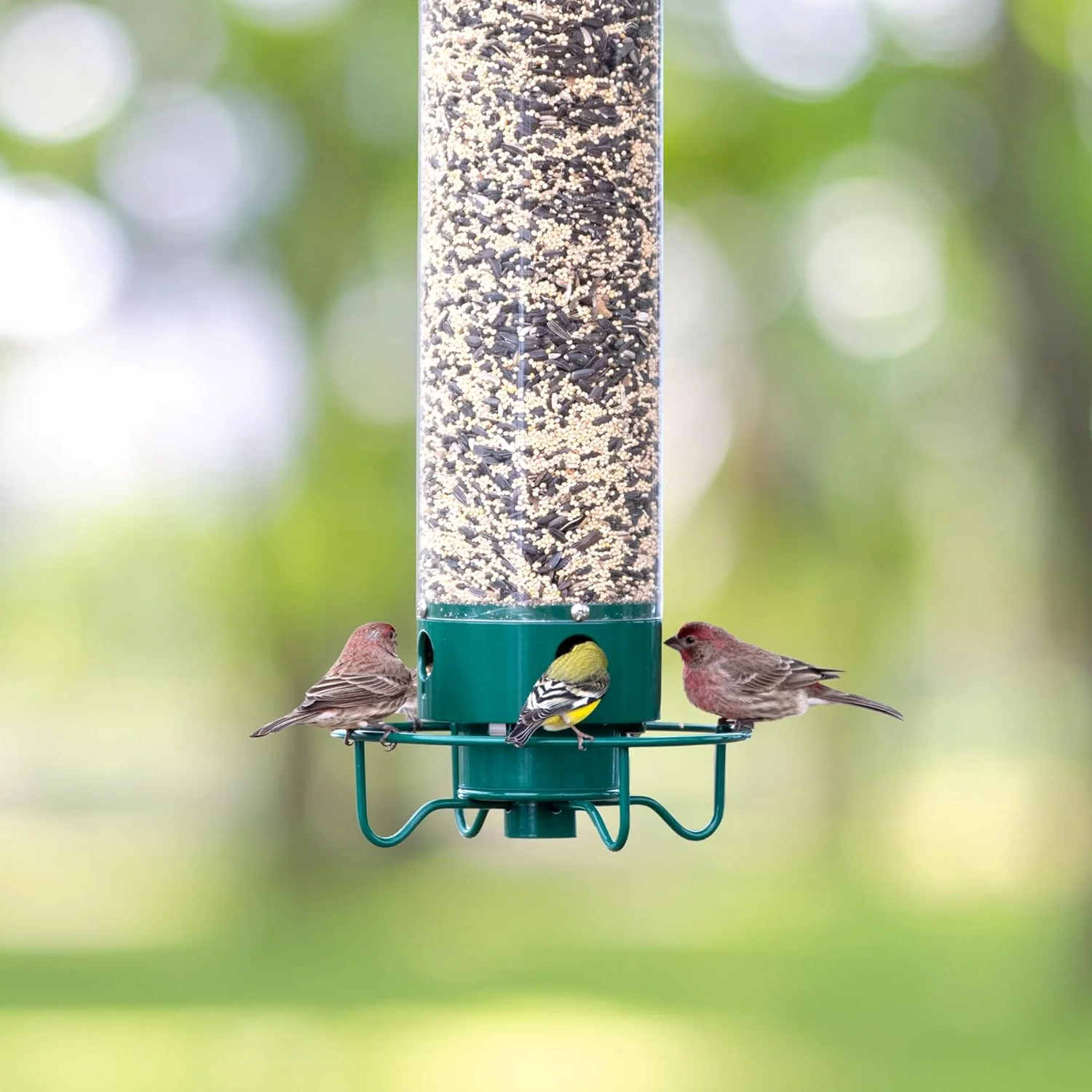Squirrel-Proof Hanging Bird Feeder with Rotating Perch – Durable Metal Design for Wild Birds and Easy Filling 5