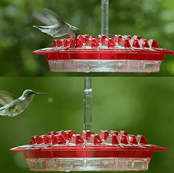 Ant-Proof Hummingbird Feeder with 30 Feeding Ports and Easy Fill Design – 12 Ounce Capacity 5