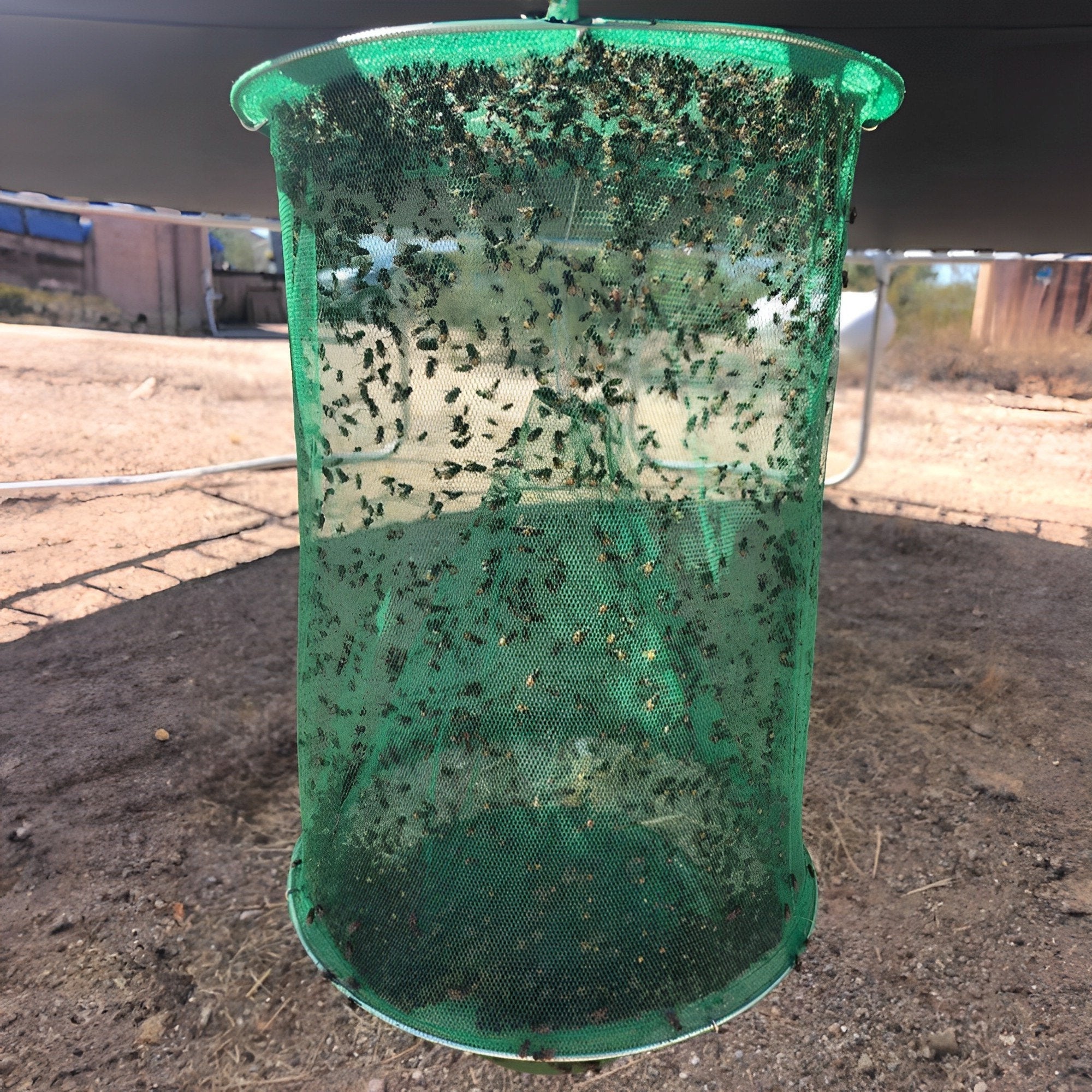 Eco-Friendly Stable Fly Trap with All-Natural Bait – Reusable Non-Toxic Fly Catcher for a Fly-Free Environment 1