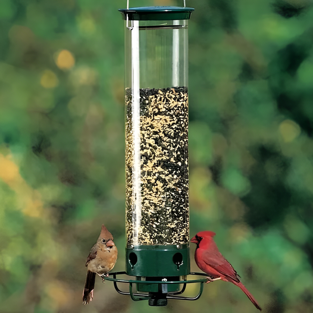 Squirrel-Proof Bird Feeder with Weight-Activated Perch – Durable Metal Construction and 5 lb Capacity 0