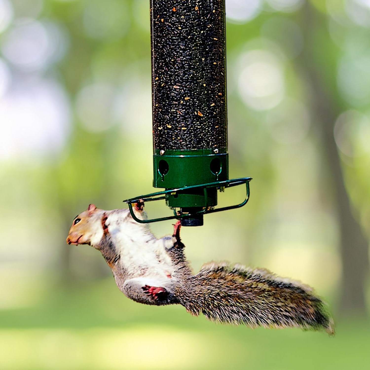Squirrel-Proof Hanging Bird Feeder with Rotating Perch – Durable Metal Design for Wild Birds and Easy Filling 0