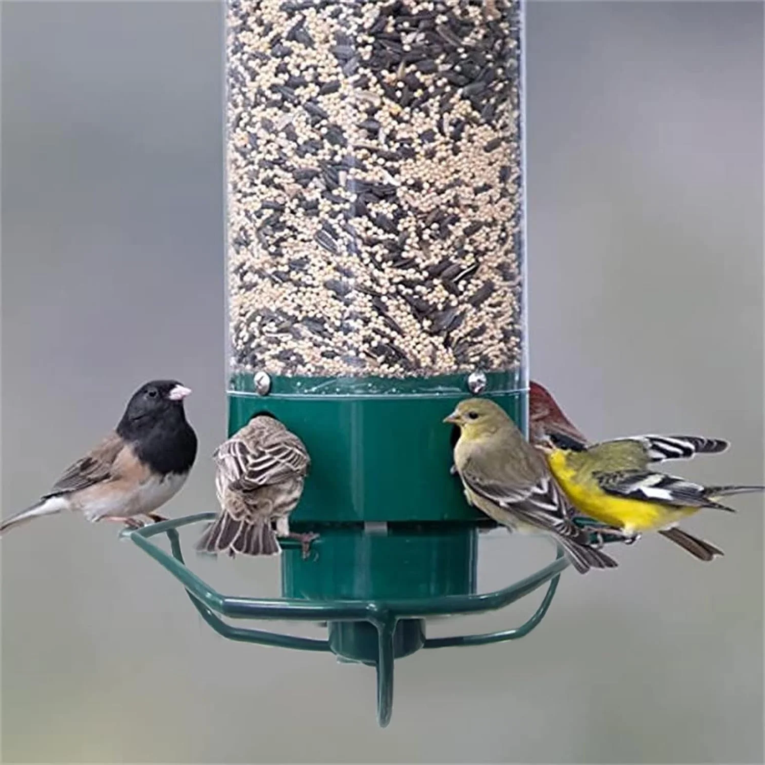 Squirrel-Proof Hanging Bird Feeder with Rotating Perch – Durable Metal Design for Wild Birds and Easy Filling 6